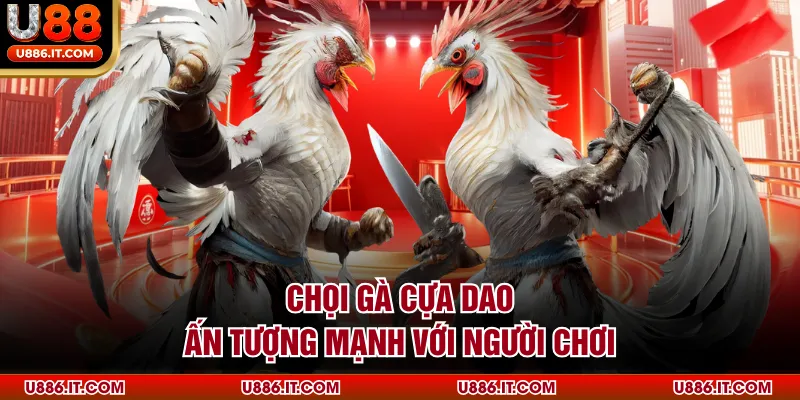 Chọi gà cựa dao ấn tượng mạnh với người chơi